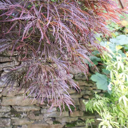 The Nail Shed Holiday home