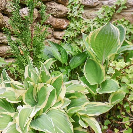 Vakantiehuis The Nail Shed