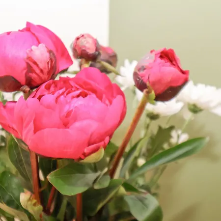 Vakantiehuis The Nail Shed *