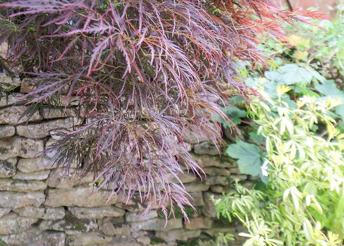 The Nail Shed Dom wakacyjny