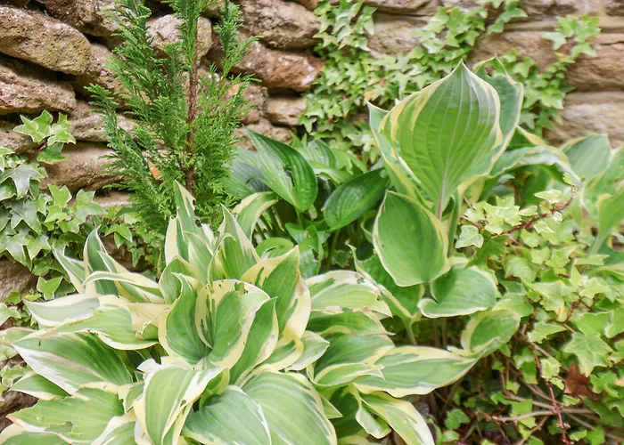 別荘 The Nail Shed