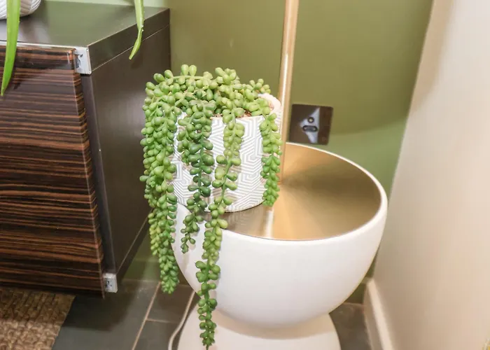 The Nail Shed スカーバラ