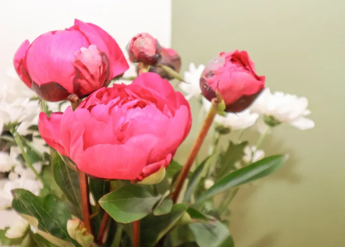 Dom wakacyjny The Nail Shed *